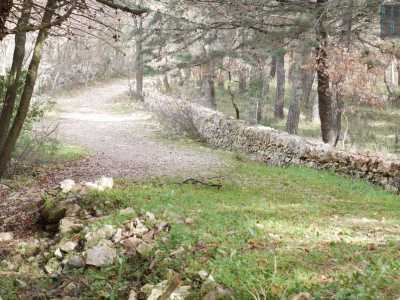 Costeggiamo il bosco di Bellamia